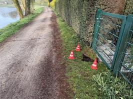 Loch im Wegebereich des Deiches b. Achterndiek
