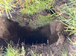 Eingang Biberbau von der Wasserseite aus